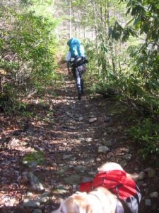 <b>Hiking Out From The Conasauga River</b>