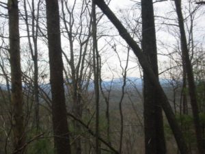 <b>Winter Views From The Trailhead</b>