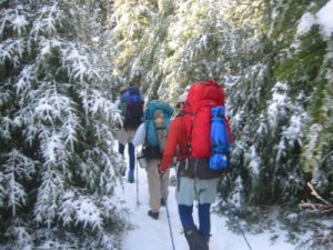 <b>Leaving Mt. Collins Shelter</b>