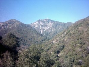 <b>Towers on Mount Wilson from Helispot</b>