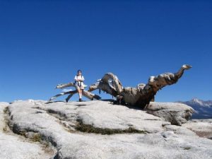 Sentinel Dome/Taft Point – Yosemite NP