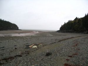 <b>Pointe Wolfe beach at low tide.</b><br> Most of the area you see here is under water at high tide.