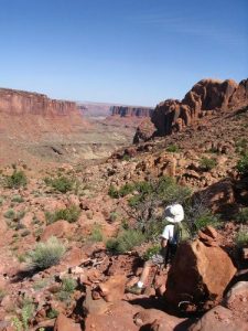 Syncline Loop – Canyonlands NP