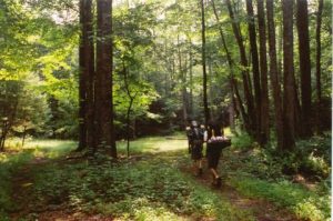 <b>Bray Field (Hickory Creek Trail)</b>