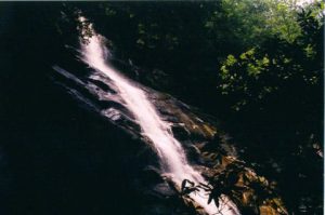 <b>Panther Creek Falls</b>