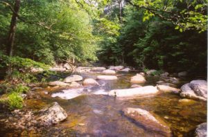 <b>Conasauga River</b>