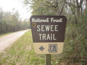 Francis Marion National Forest - Sewee Shell Mound
