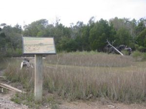 <b>The Oyster Shell Ring</b><br> One of two ancient Indian sites along the trail. The Indians left mounds of ancient seashells next to a small village along the Intercoastal Waterway where they once camped.