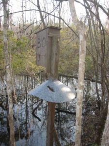 <b>Bird House</b>