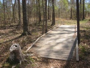 <b>Learning Trail</b><br> Here's a look at the Learning Trail about near the vernal pond.