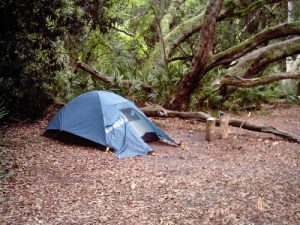 <b>Campsite</b>