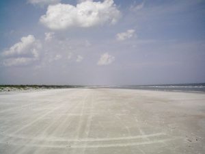 Cumberland Island National Seashore - May 7, 2006