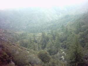 Red Box to Strawberry Spring, Strawberry Meadow - Angeles National Forest