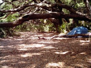 <b>Campsite at Stafford Campground</b>