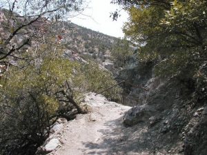 <b>The Trail</b><br> The dirt part of the trail heading up the canyon.