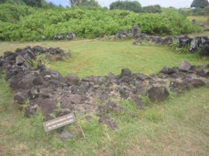 <b>An Ancient Cultural Site</b><br> An ancient polynesian site along the coast near the Pools.