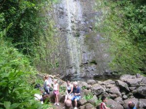 <b>Manoa Falls</b><br> Here's a look at Manoa Falls from the base. It was dry when we visited and the falls were not that impressive.