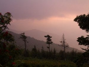 Looking out over Big Tom Preserve at sunset.