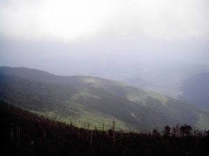 View to the east form the observation tower.