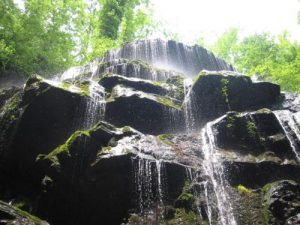 Sumter National Forest - Yellow Branch Falls