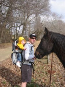 <b>Horses Near Billy Graham's Grandfather's Cabin</b><br> The kids were quite enthralled with the horses as well as the goats in the park.