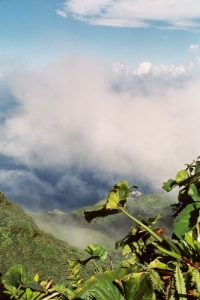 <b>From the peak of Mt. Scenery</b><br> A wide angle shot at the top of Mt. Scenery looking North with Green Island in view.