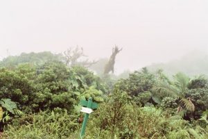 <b>Trailmarker near Radiotower</b><br> In the clouds near the radio tower.