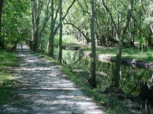 Savannah and Ogeechee Canal - December 15, 2006