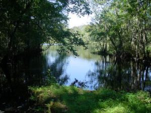 Savannah and Ogeechee Canal - January 7, 2007