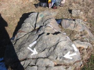 <b>Conflicting Arrows</b><br> These white blazes and arrows mark the route across Silers Bald in the Smokies.