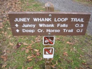 <b>The Trailhead</b><br> This is the start of the Juney Whank loop trail at the Deep Creek parking area.