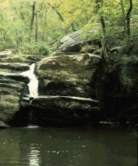 Cheaha State Park: Chinnabee Silent Trail