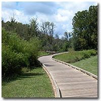 Suwanee Greenway- New Ga Trail