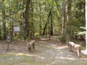 Hugh White State Park Trail System