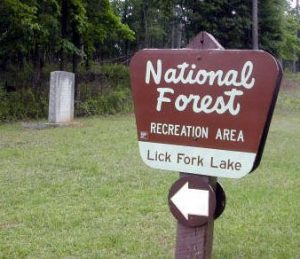 Lick Fork Lake Trail and Horn Creek Trail