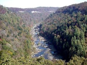 <b>Honey Creek Overlook</b><br> Honey Creek Overlook .8 or 1.45 miles from the trailhead depending on the trail you take.