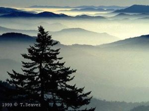 <b>View From Cliingmans Dome, Tom Seaver photographer</b>