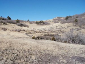 <b>Sprign in the High Country</b><br> Looking uphill past the springs towards the crest.