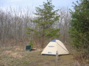 <b>Springer Campground</b><br> Our campsite near Springer Mountain.