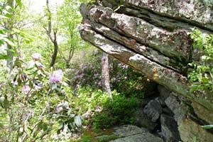 Monster Rock Trail