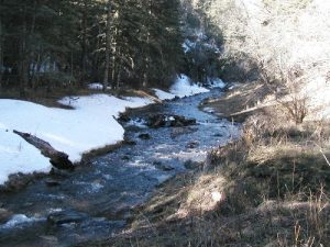 Turkey Creek - White Mountain Wilderness