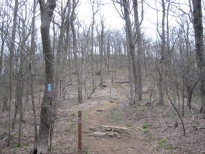 <b>Nimblewill Gap</b><br> Here's a view of the Approach Trail as it leaves Nimblewill Gap and climbs up and around Black Mountain.