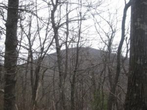 Springer Mountain as seen from the Approach Trail just before Black Mountain Shelter.