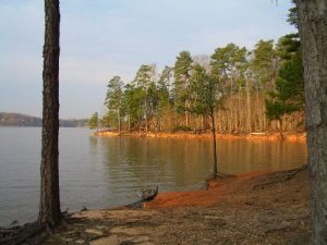 <b>The lake in the morning</b>