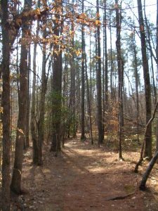 <b>Raven Rock Loop Trail</b>