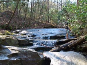 <b>A small set of falls on Little Creek</b>