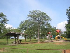 <b>Playground</b><br> Picnic and play areas near the entrance to Rockledge Park.