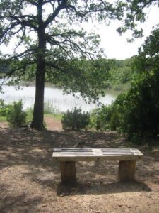 <b>Rest Bench</b><br> A bench along the Northshore Trail about two miles from the trailhead. Grapevine Lake is in the distance.