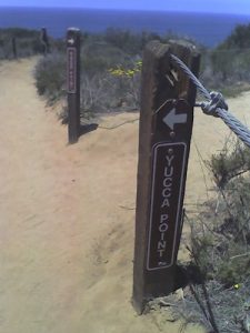 <b>Trail Junction</b><br> The trail junction between Yucca Point and Razor Point.