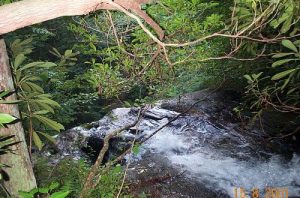 <b>at the top of Horse Trough Falls</b>